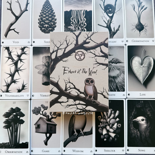 Echoes of the Wood Oracle Deck