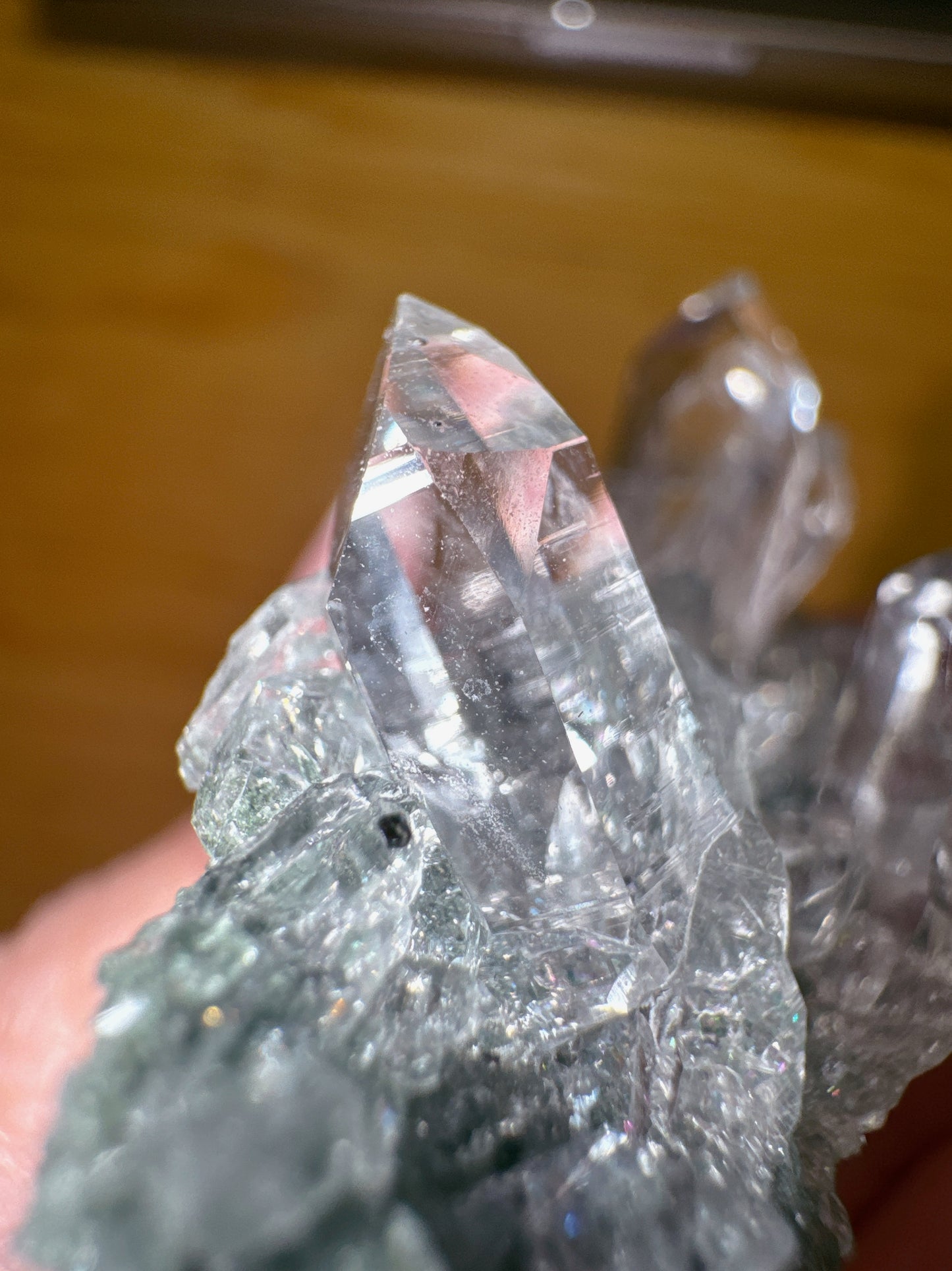 🇮🇳印度喜馬拉雅水晶 Himalayan Quartz