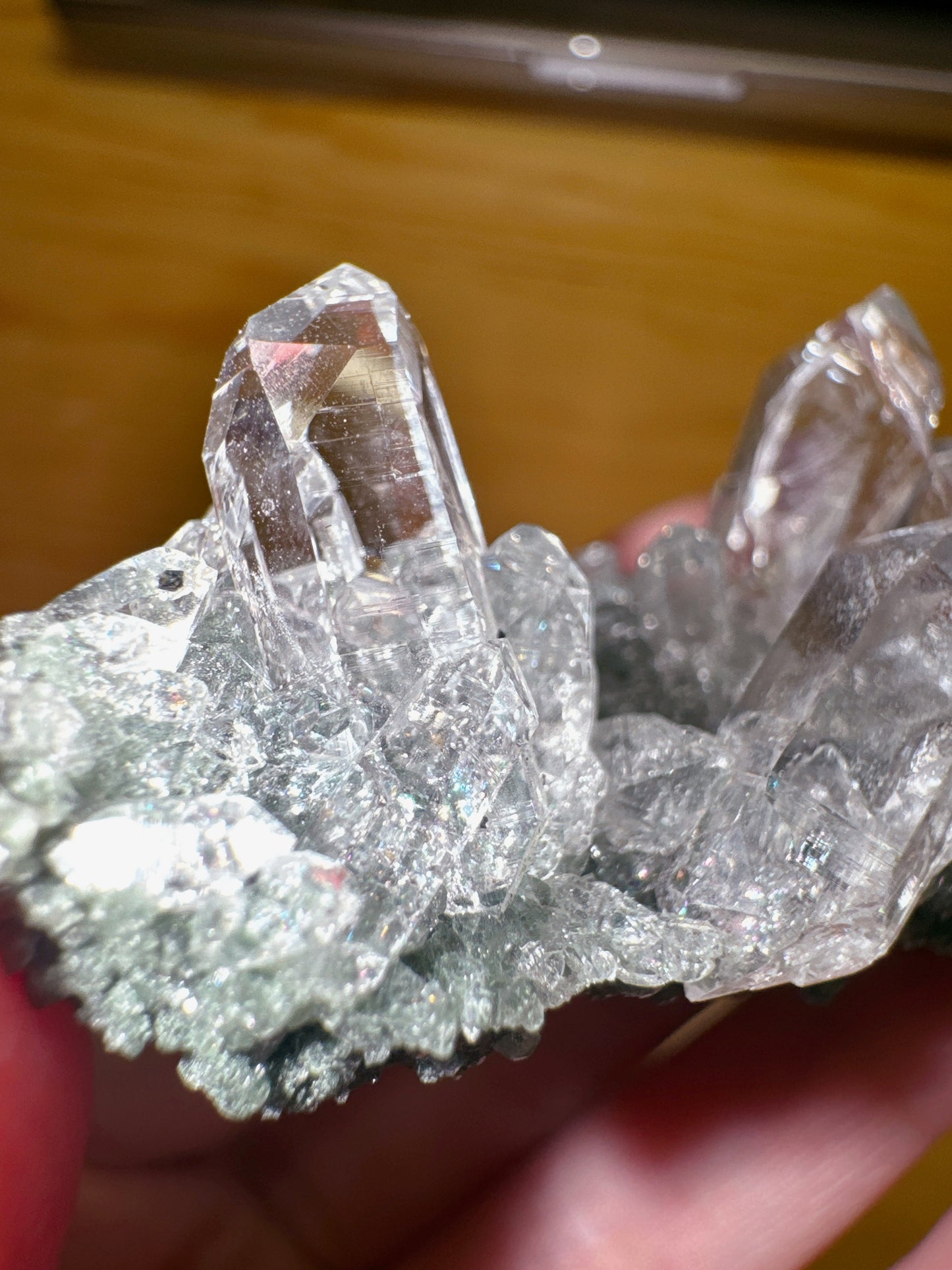 🇮🇳印度喜馬拉雅水晶 Himalayan Quartz