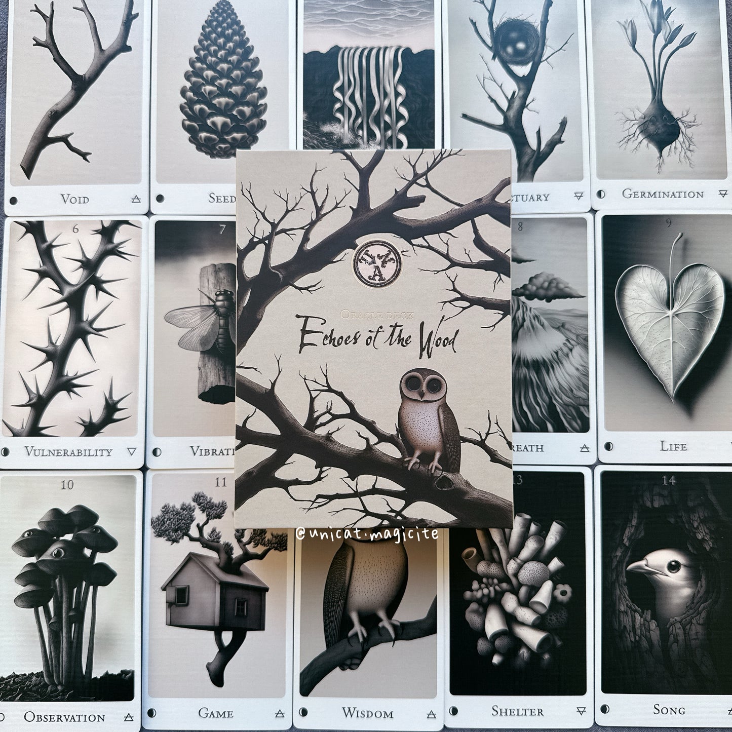 Echoes of the Wood Oracle Deck