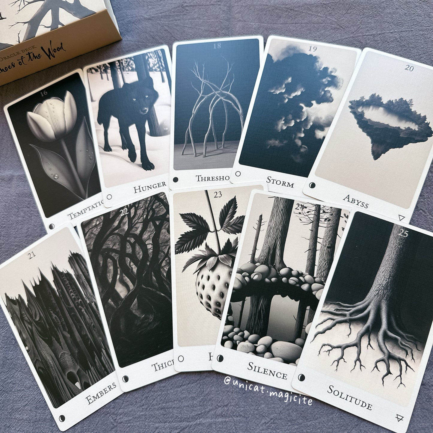 Echoes of the Wood Oracle Deck
