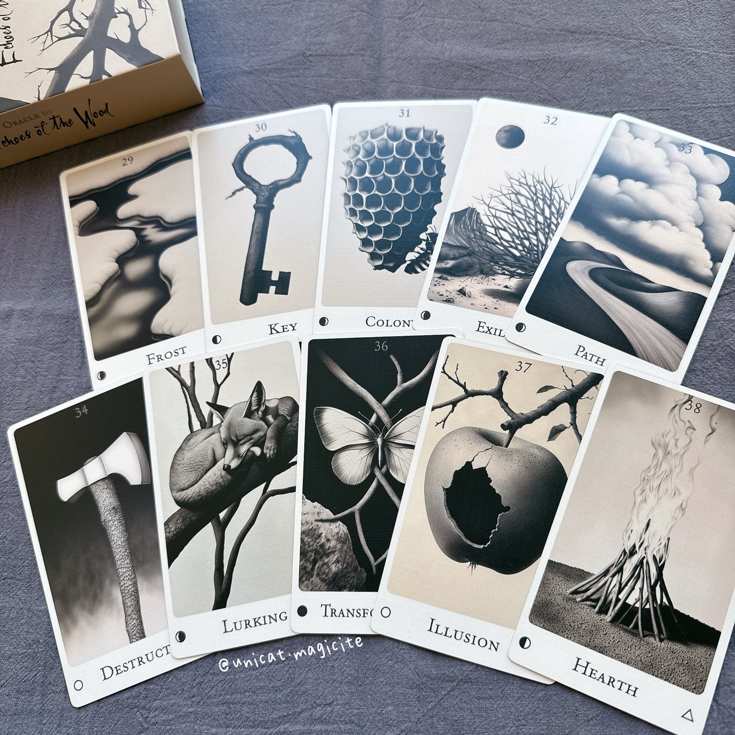 Echoes of the Wood Oracle Deck