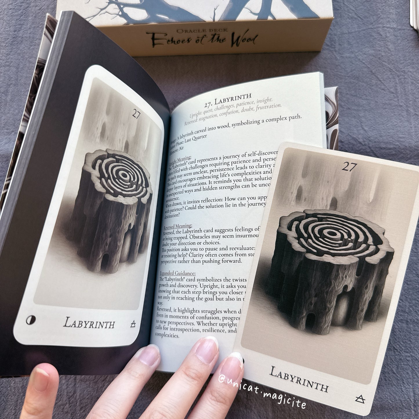 Echoes of the Wood Oracle Deck