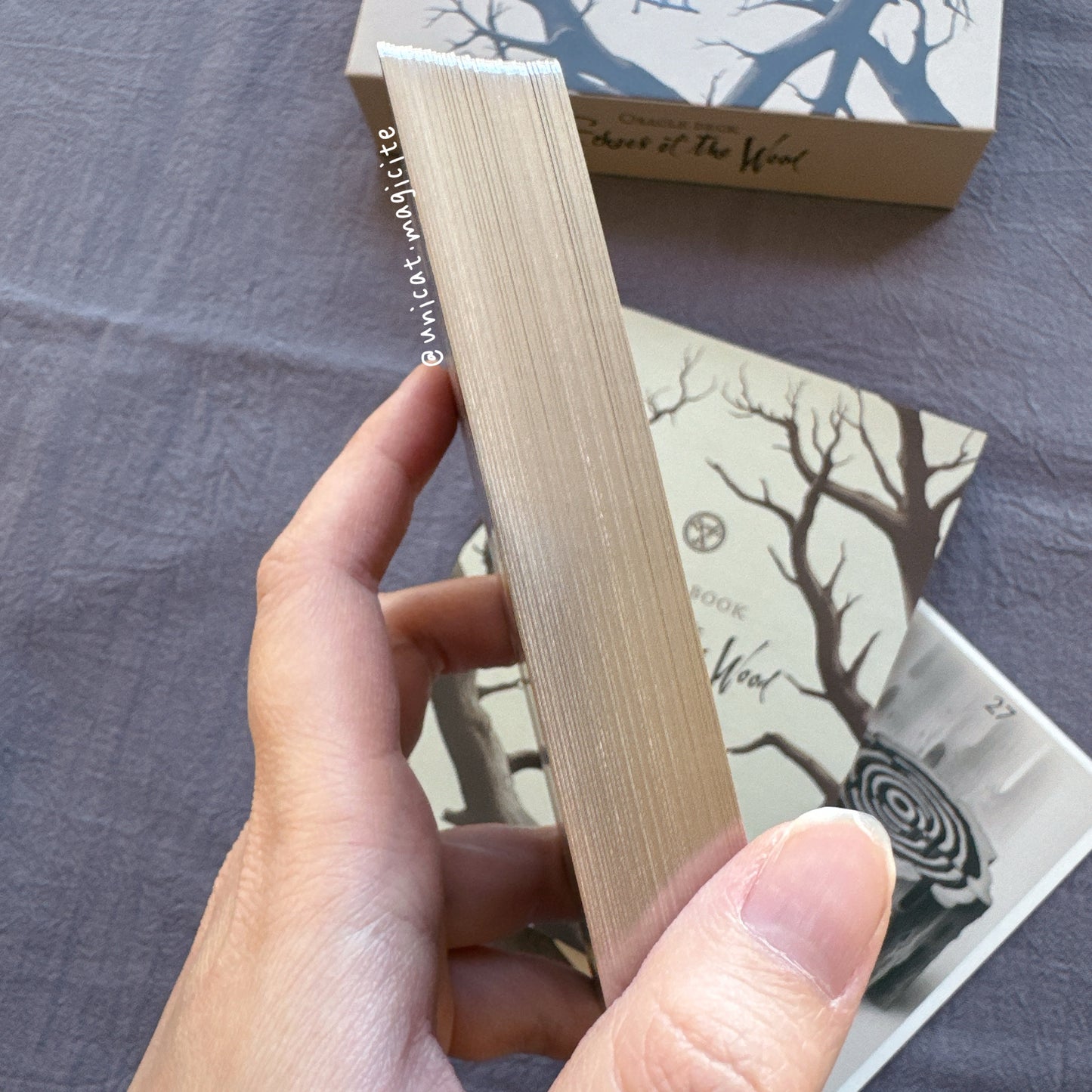 Echoes of the Wood Oracle Deck